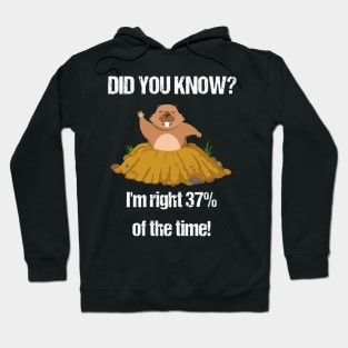 Funny Groundhog Day Gift T-Shirt | Weatherman Statistics Hoodie